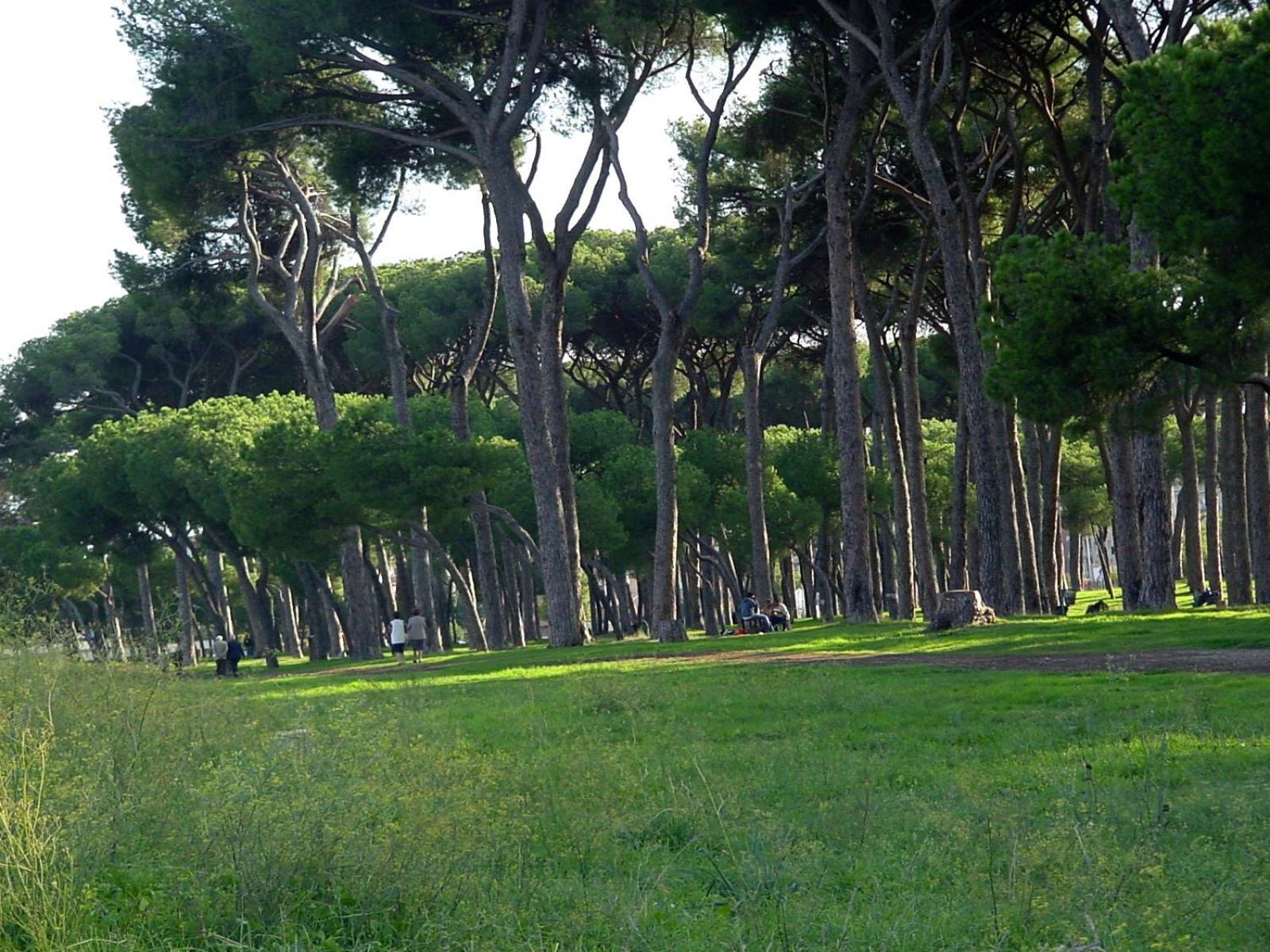 Nearpineta Appartement Rome Buitenkant foto